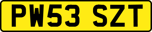 PW53SZT