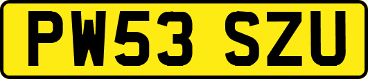 PW53SZU