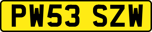 PW53SZW