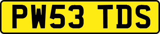 PW53TDS