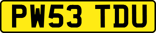 PW53TDU