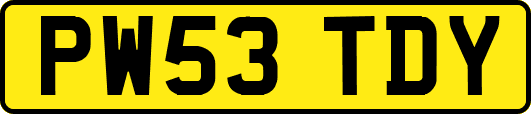 PW53TDY