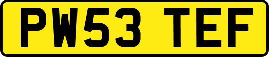 PW53TEF