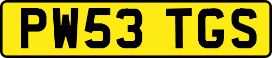 PW53TGS