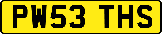 PW53THS