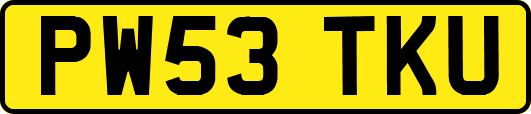 PW53TKU
