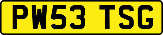 PW53TSG
