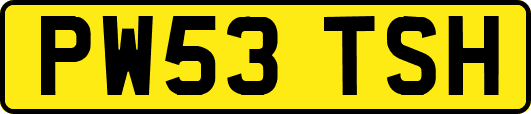 PW53TSH