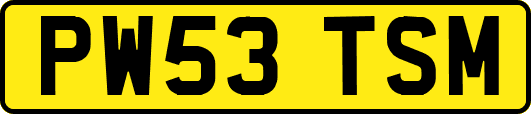 PW53TSM
