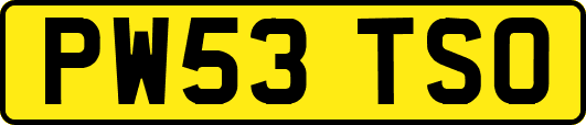 PW53TSO