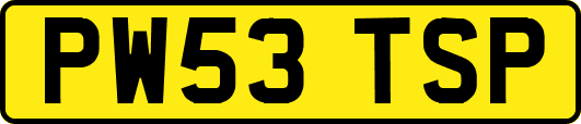 PW53TSP