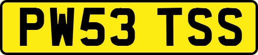 PW53TSS