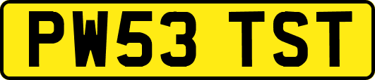 PW53TST