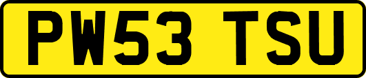 PW53TSU