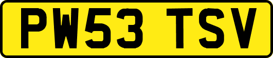 PW53TSV
