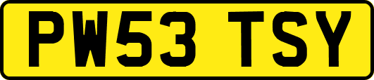 PW53TSY