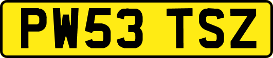 PW53TSZ