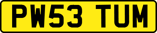 PW53TUM