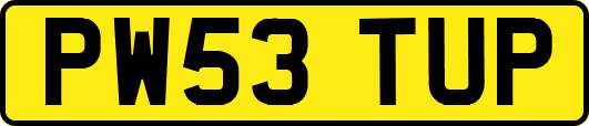 PW53TUP