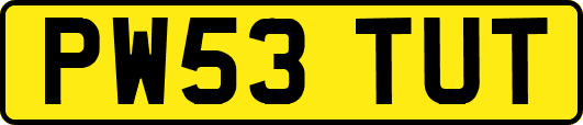 PW53TUT
