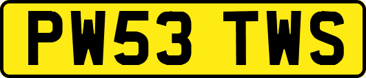 PW53TWS