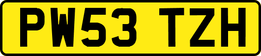 PW53TZH