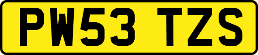 PW53TZS
