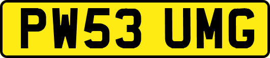 PW53UMG