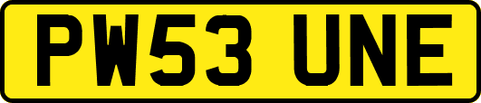 PW53UNE