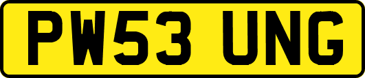 PW53UNG