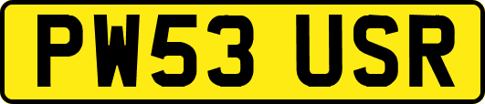 PW53USR