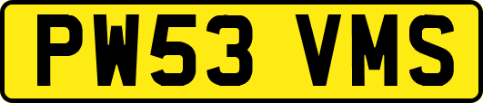 PW53VMS