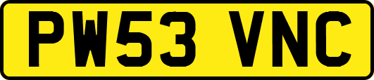 PW53VNC