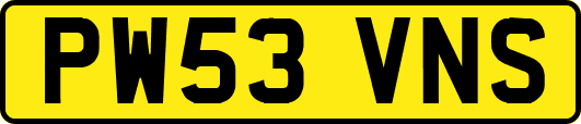 PW53VNS