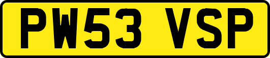 PW53VSP