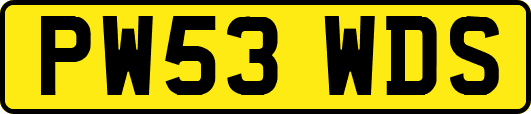 PW53WDS