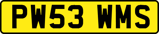 PW53WMS