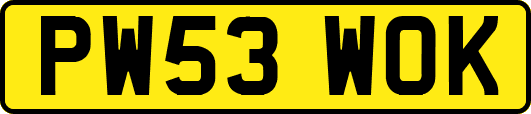 PW53WOK