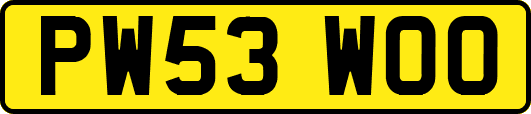 PW53WOO