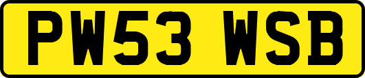 PW53WSB