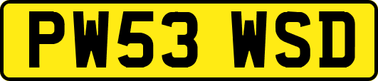 PW53WSD