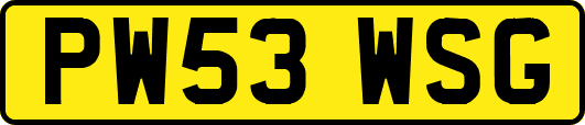 PW53WSG
