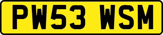 PW53WSM