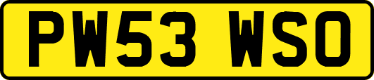 PW53WSO