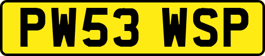 PW53WSP