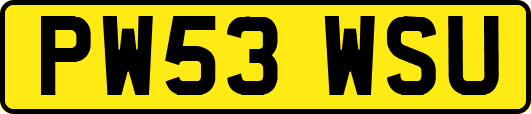 PW53WSU