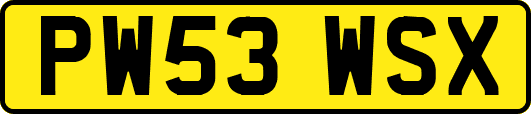 PW53WSX