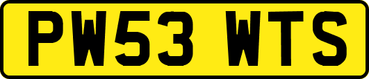 PW53WTS