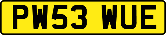 PW53WUE