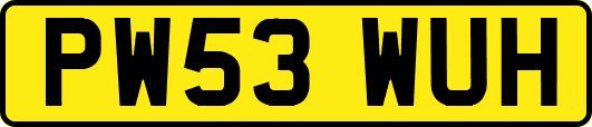 PW53WUH